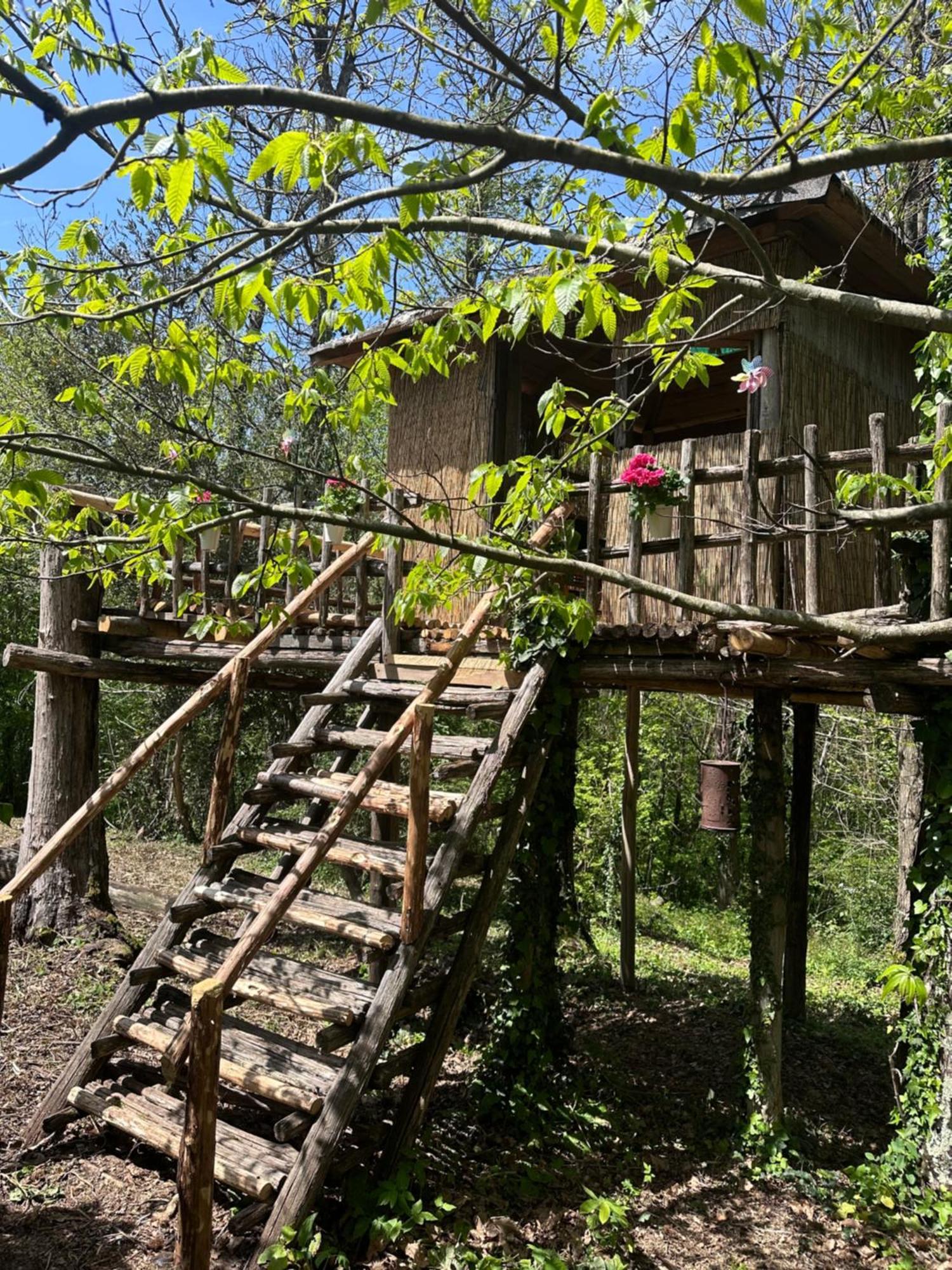 La Casa Degli Elfi Villa Manziana Buitenkant foto
