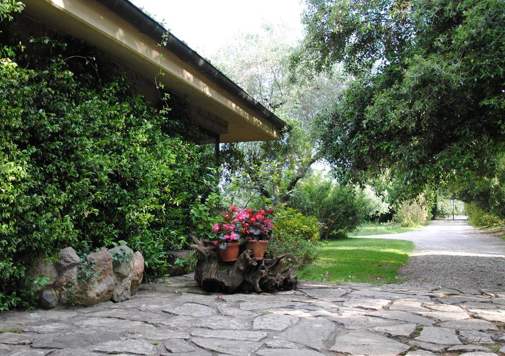 La Casa Degli Elfi Villa Manziana Buitenkant foto