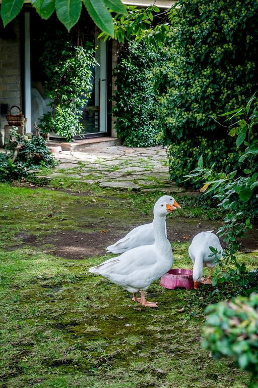 La Casa Degli Elfi Villa Manziana Buitenkant foto