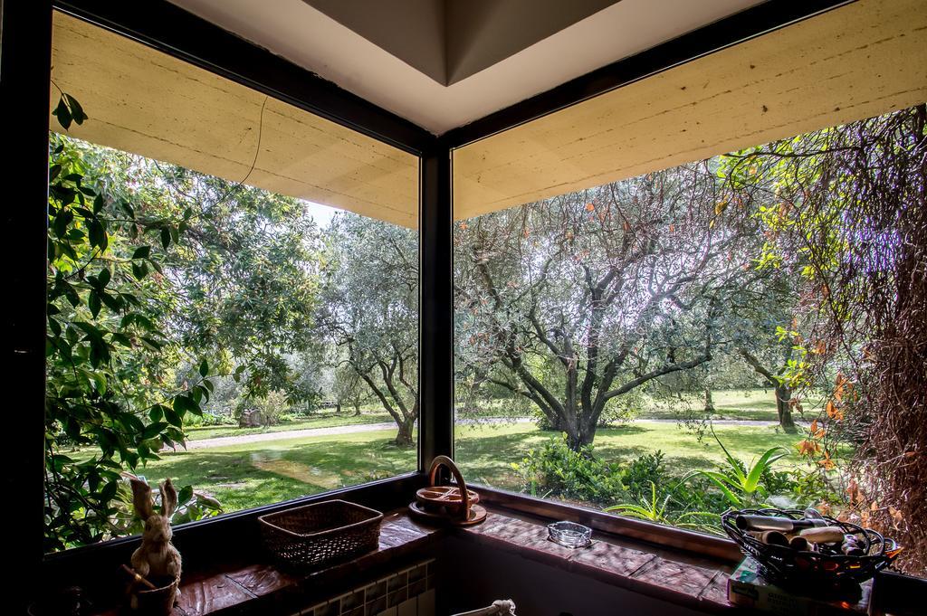 La Casa Degli Elfi Villa Manziana Buitenkant foto